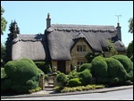 Thatched Roofs
