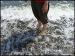 Paddle