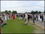 The Crowd