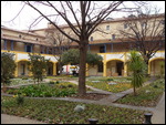 Van Gogh's garden - Arles