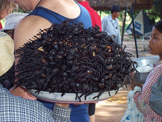 Fried tarantulas
