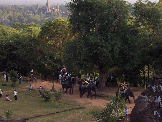 Elephants at Ankor Wat