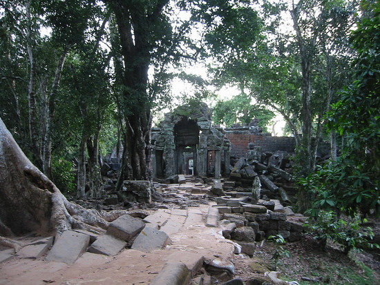 Overgrown temples