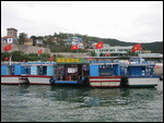 Cruise Boats