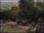 Elephants at Ankor Wat