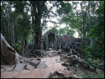 Overgrown temples