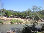 Elephant farm