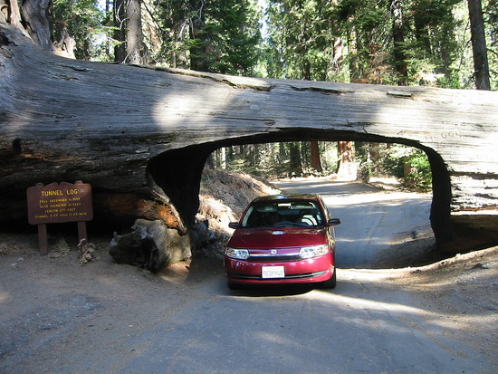 Sequoia National Park