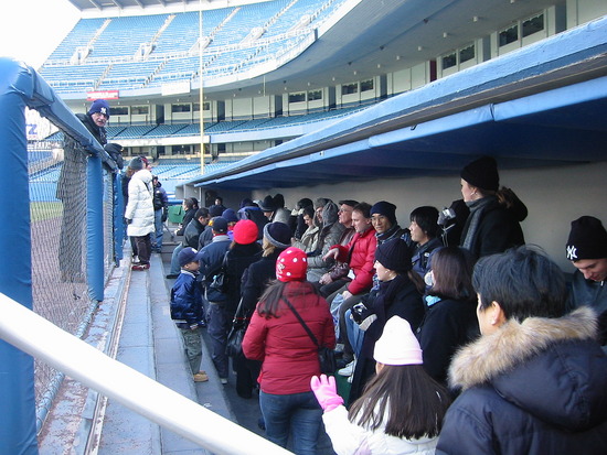 Yankee Stadium