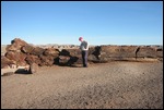 Petrified Forest
