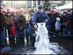 Ice Sculpture