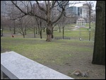 Boston Common