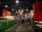 Ringling Bros Museum