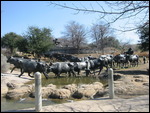 Dallas