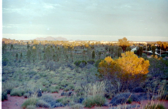 The Olgas at sunset