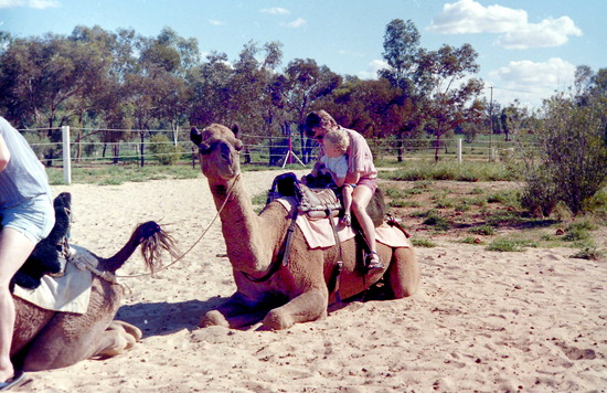 Camel Ride