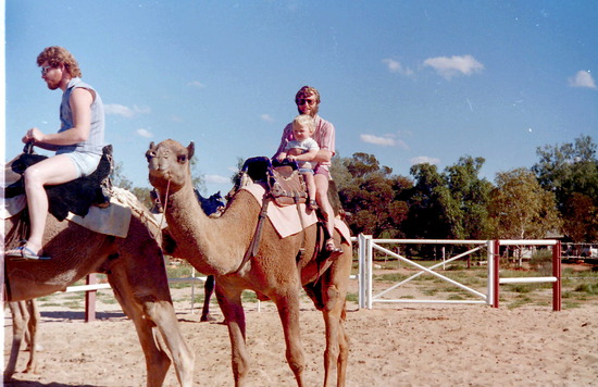 Camel Ride