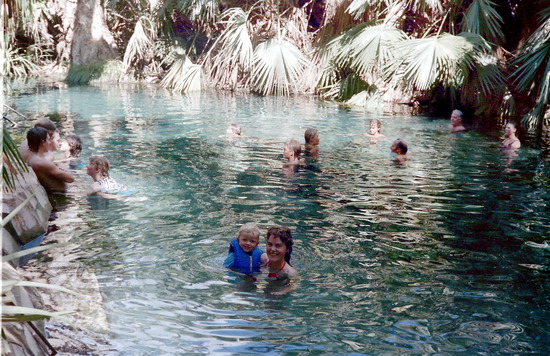 Mataranka Thermal Pool