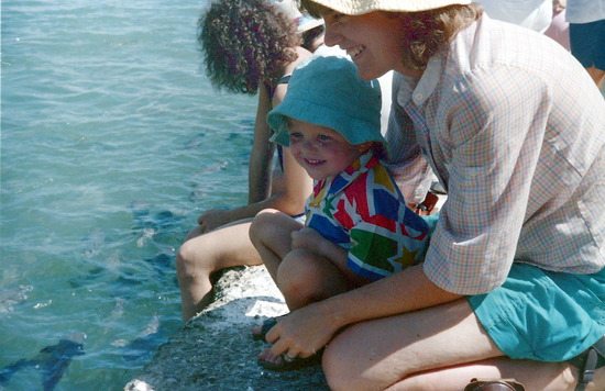 Fish Feeding At Doctor's Gully