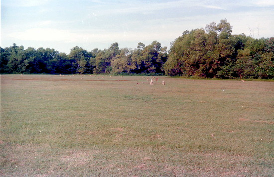 East Point Reserve