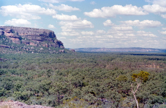 Escarpment