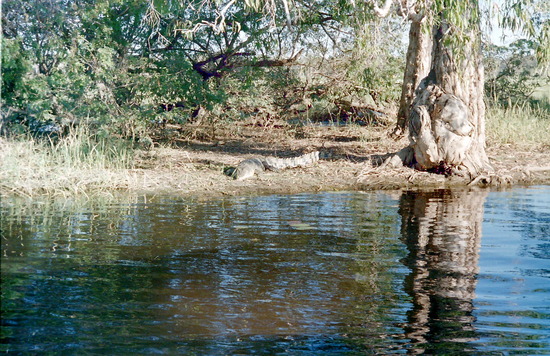 Yellow Waters Cruise