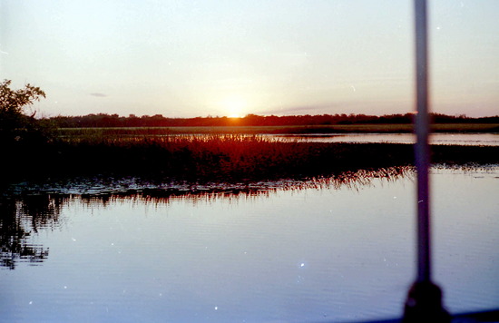 Yellow Waters Cruise