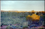 The Olgas at sunset