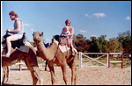 Camel Ride