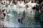 Mataranka Thermal Pool