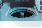 Frogs In The Washing Machine