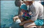 Fish Feeding At Doctor's Gully