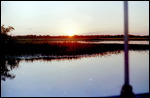 Yellow Waters Cruise