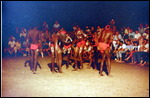 Corroboree
