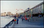 The Expo site