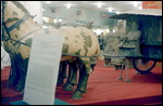 Terracotta Warriors - China pavillion