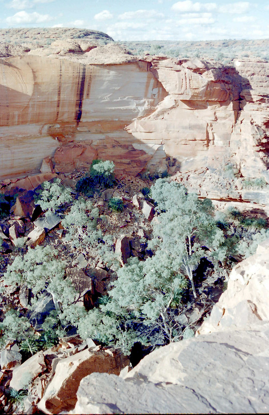 Kings Canyon