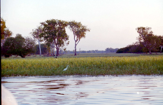 Yellow Waters cruise