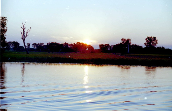 Yellow Waters cruise