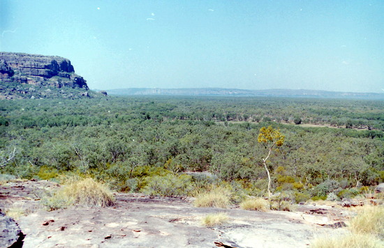 View from Nawurlanja