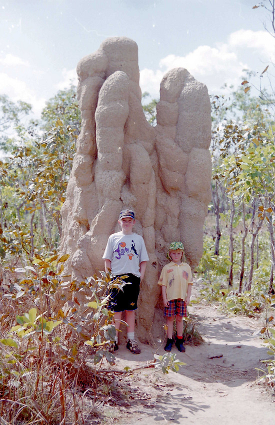 Magnetic Termite Mounds