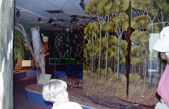 Wetlands Information Centre
