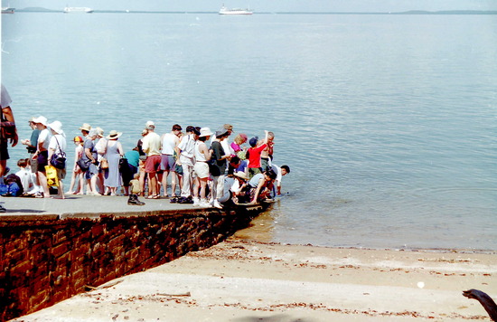 Fish feeding at Doctor's Gully