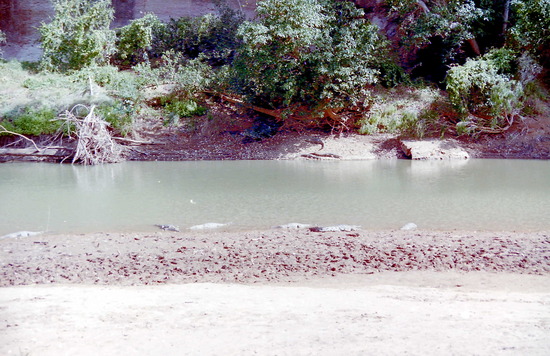 Windjana Gorge