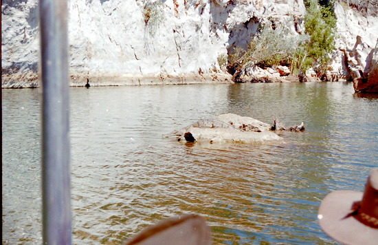 Windjana Gorge