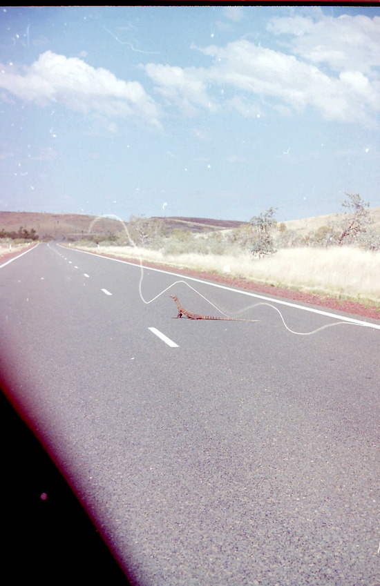 Monitor on the road