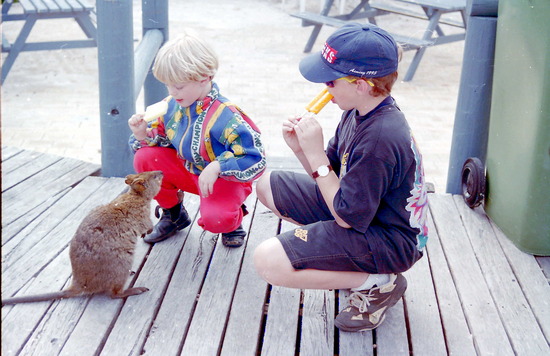 Patting the Quokkas