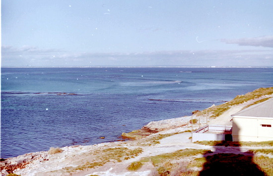 Rottnest Island