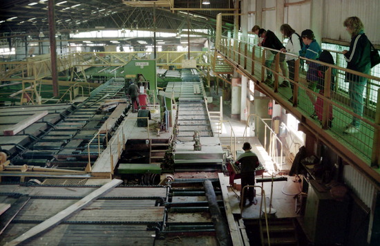 Bunning's Mill