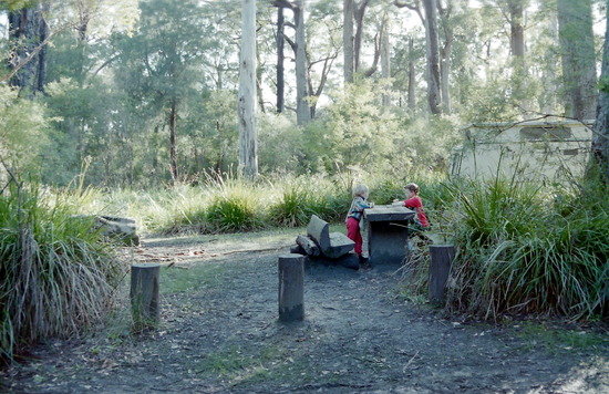 Our secluded campsite